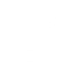 ASSURANCE SERVICES icon