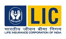 LIC-Image