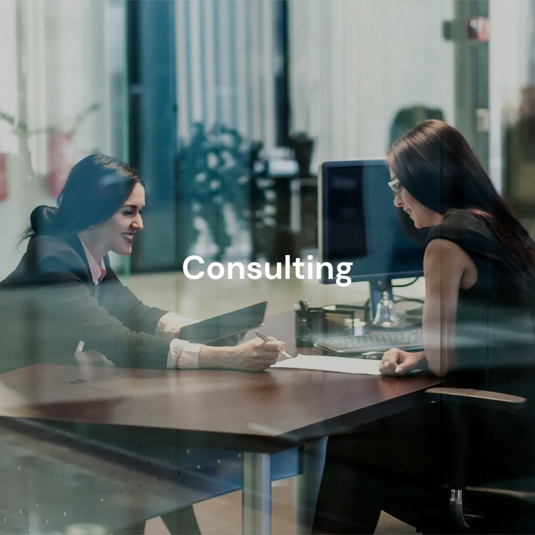 Consulting