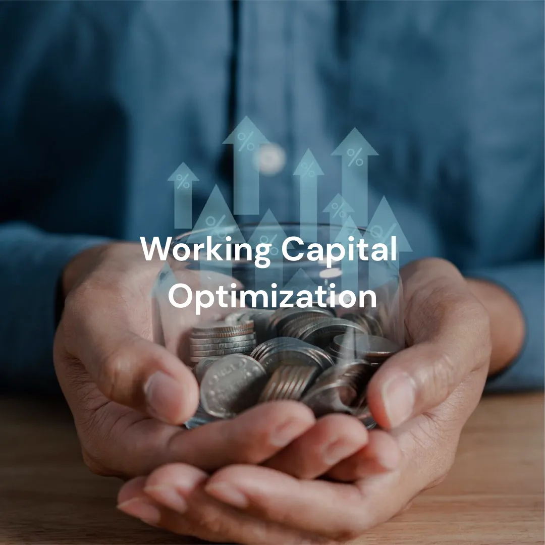 Working Capital Optimization