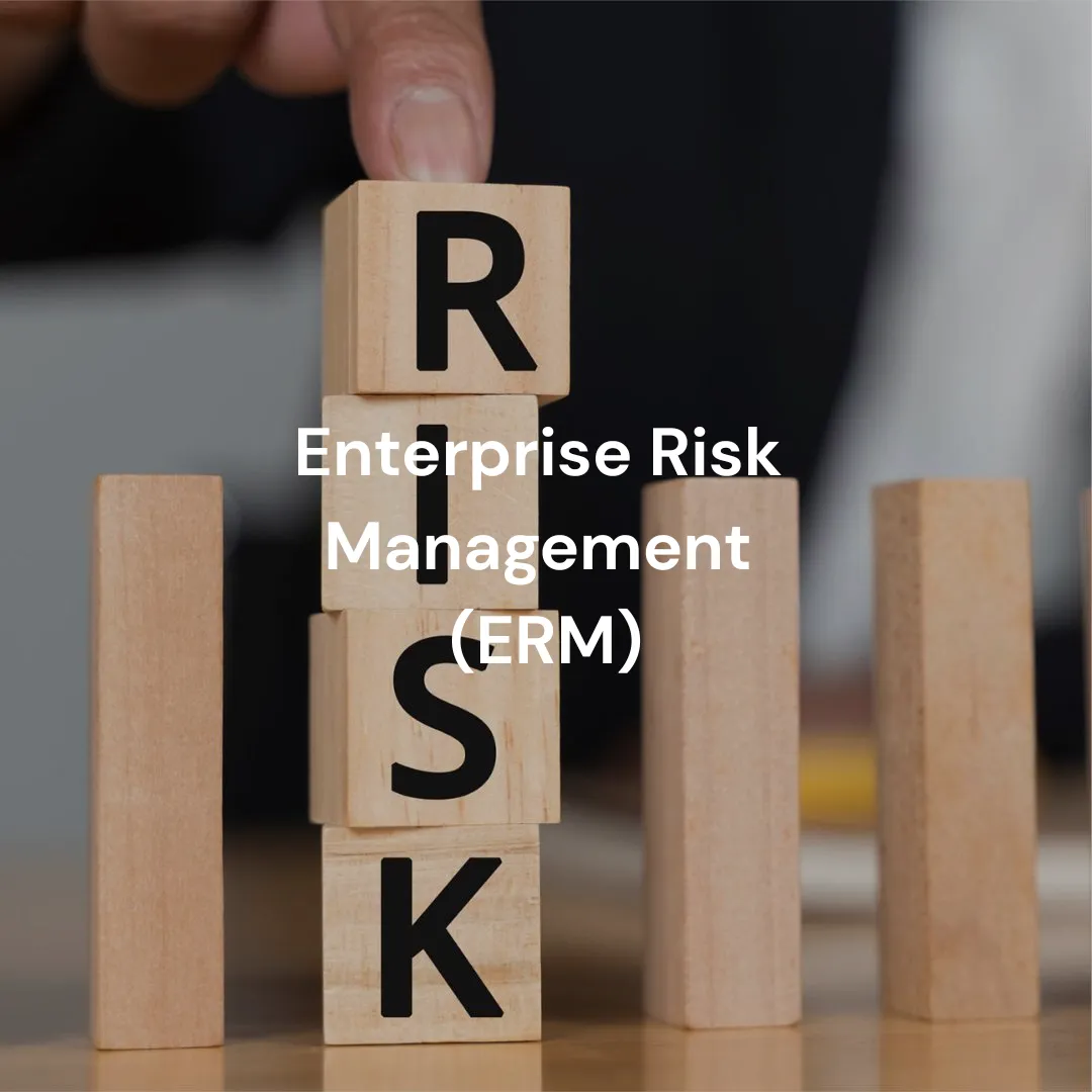 Enterprise Risk Management (ERM)