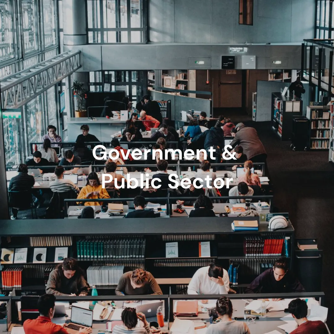 Government & Public Sector