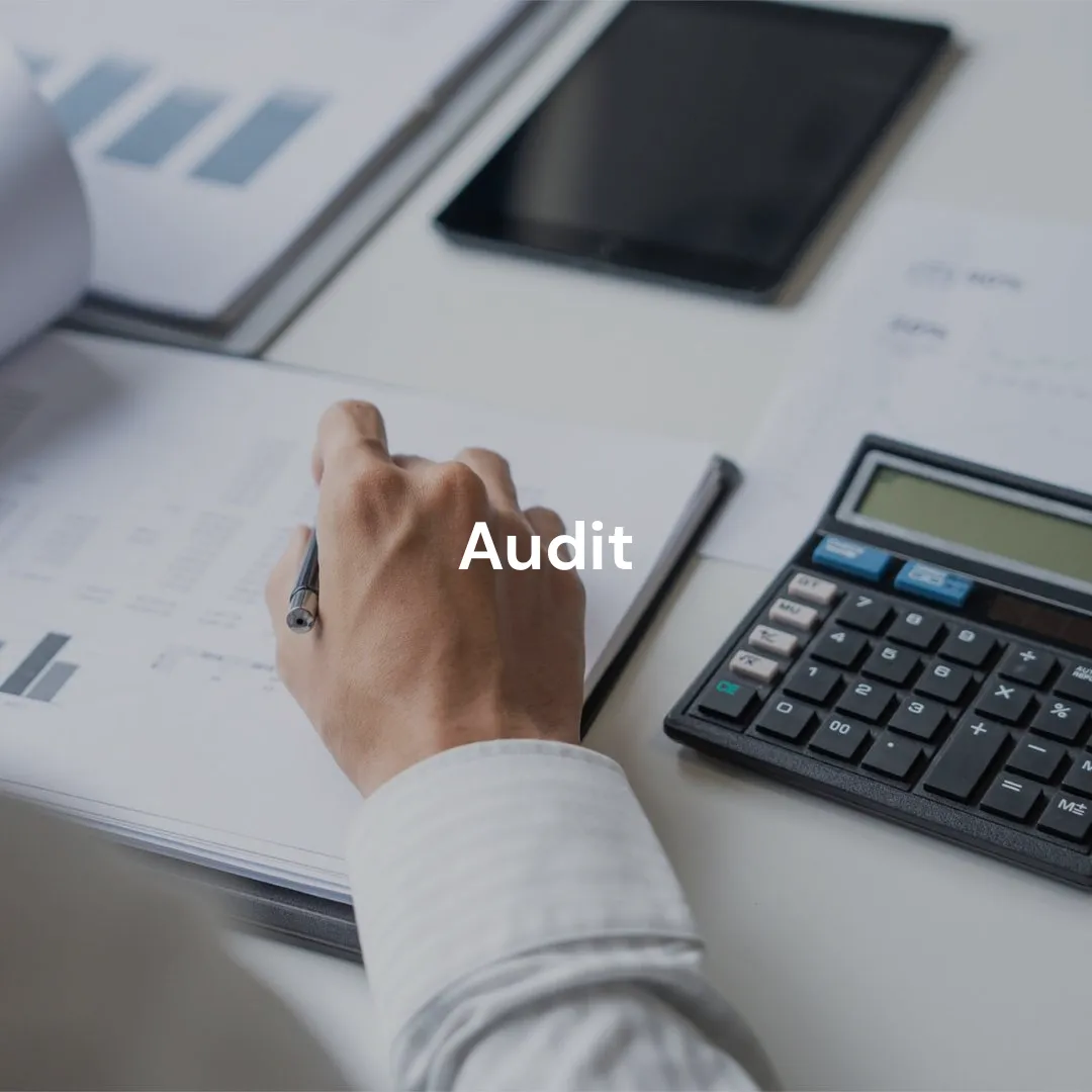 Audit