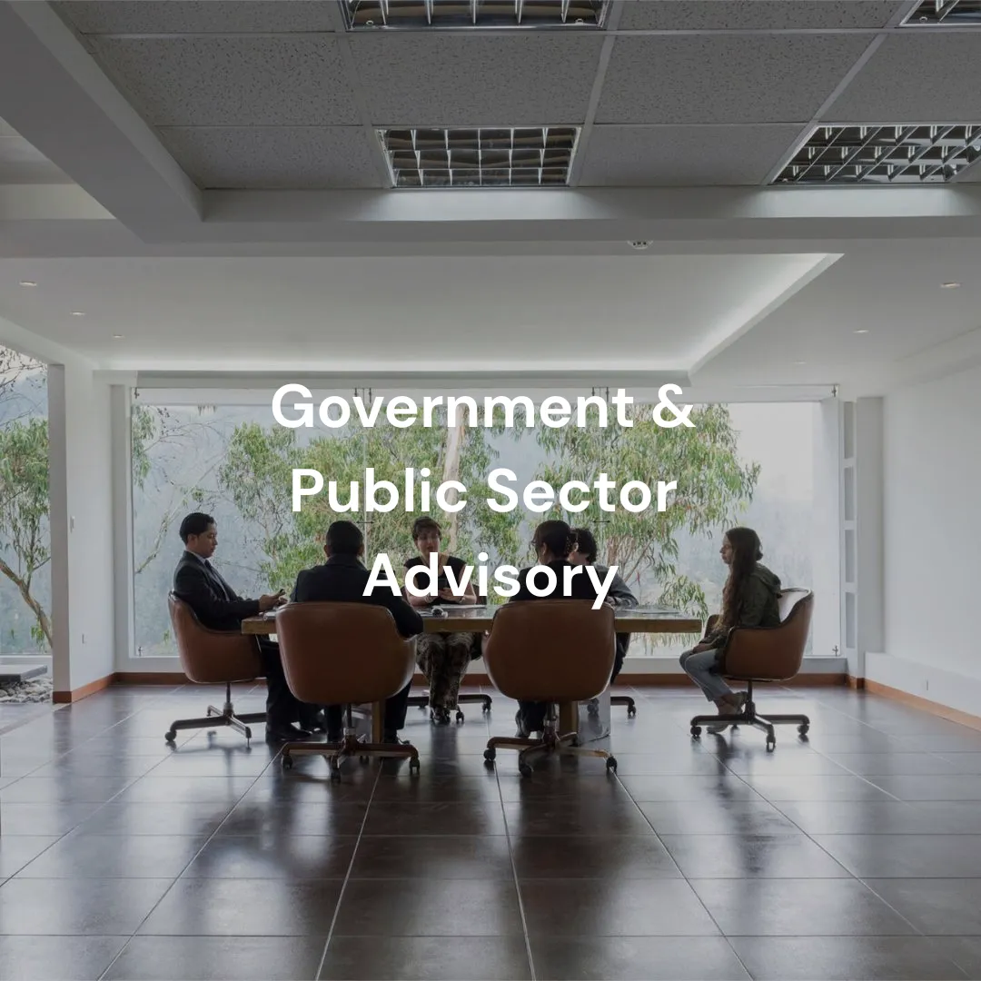 Government & Public Sector Advisory