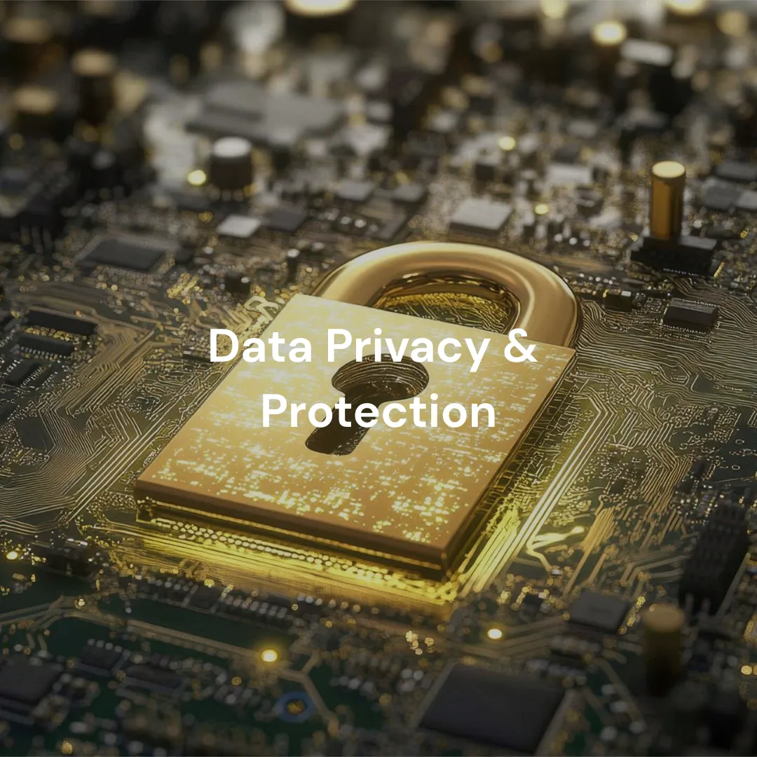 Data Privacy & Protection