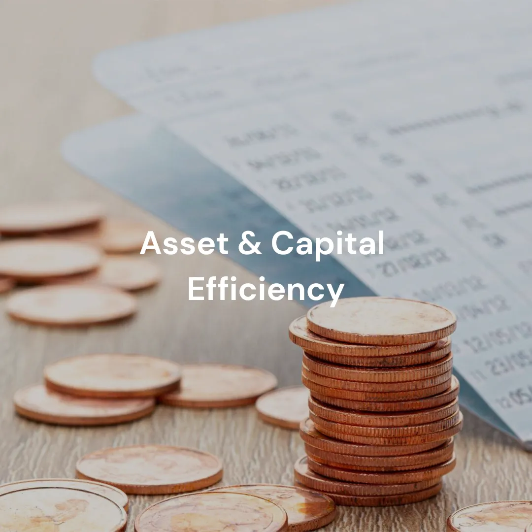 Asset & Capital Efficiency