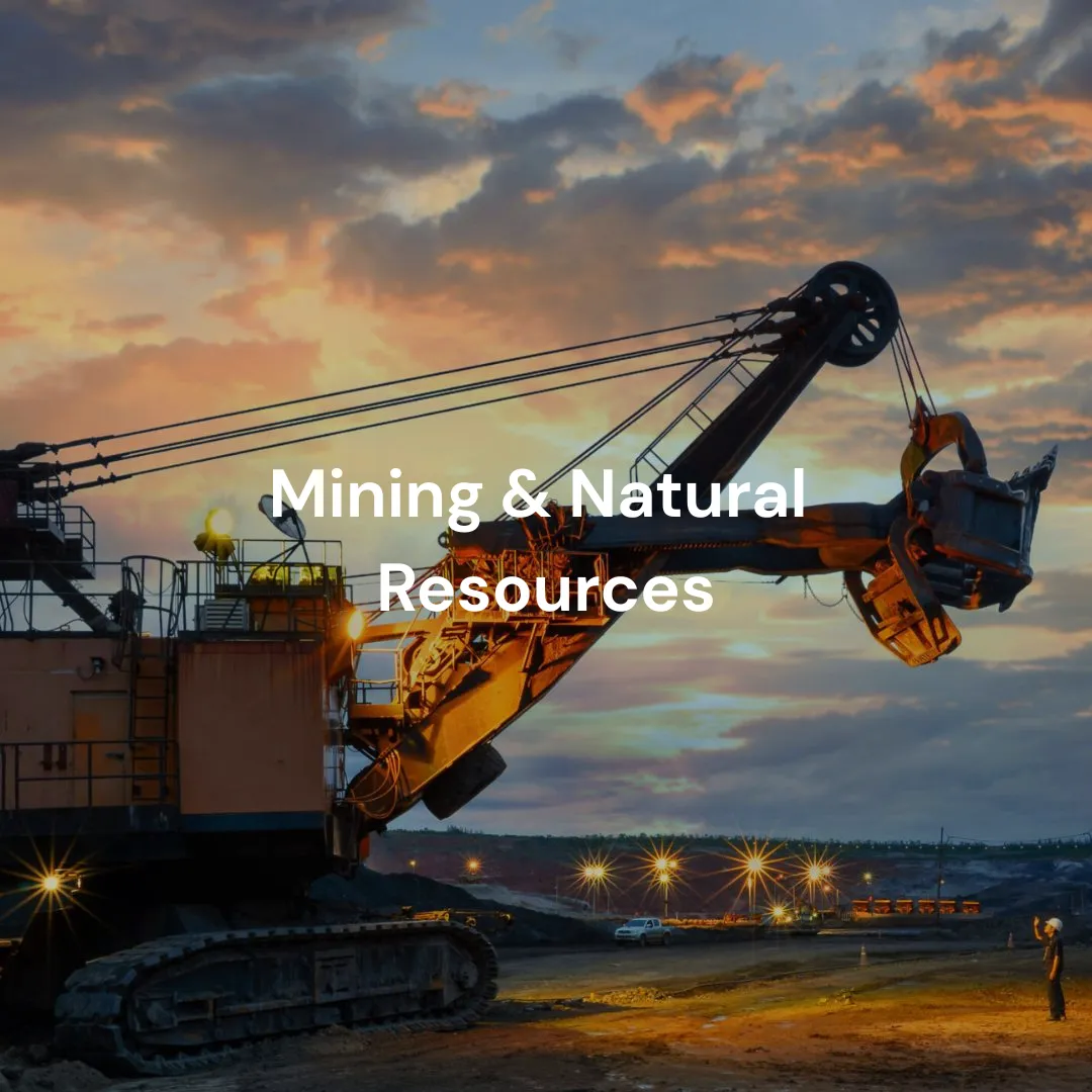 Mining & Natural Resources