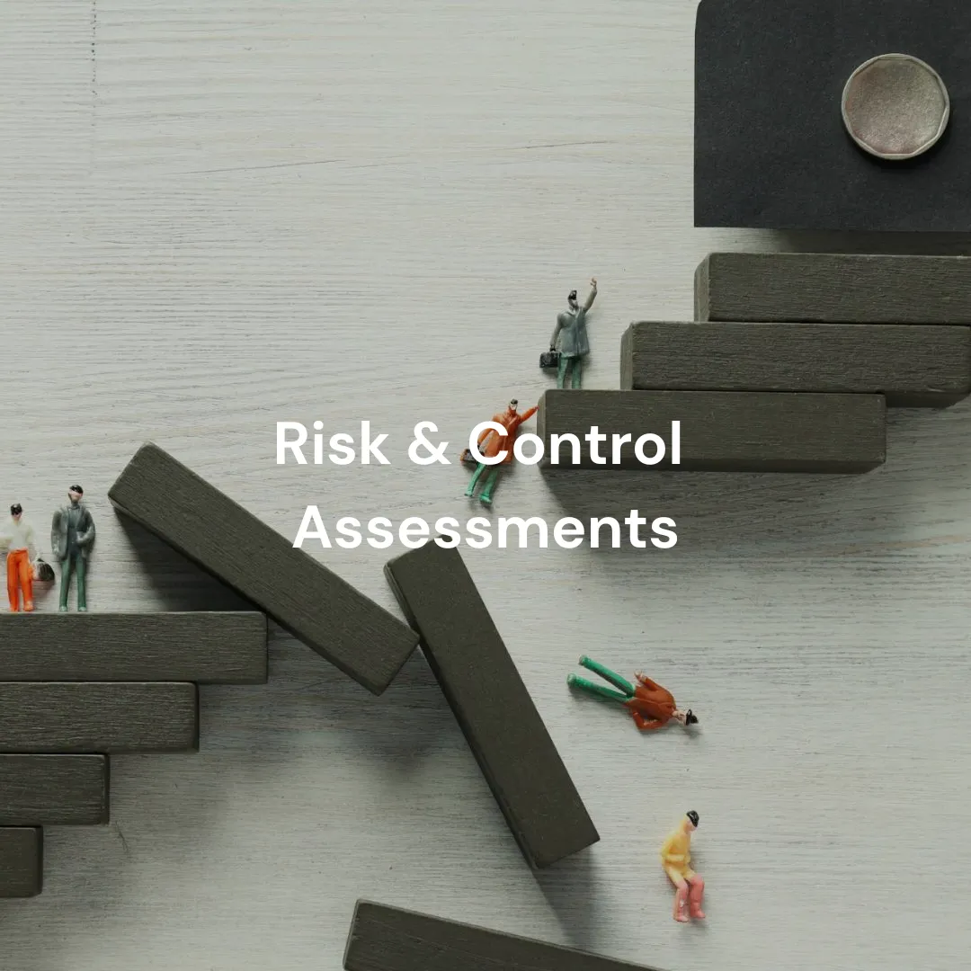 Risk & Control Assessments